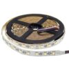 24V LED ЛЕНТА 1ролка-5м, RGBWW 60L / M 12MM 16W / M 600LM / M IP20 OP-4483