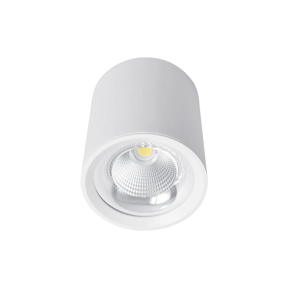 FLCOM LED ЛУНА OM 30W 230V 4000K 60° БЯЛА