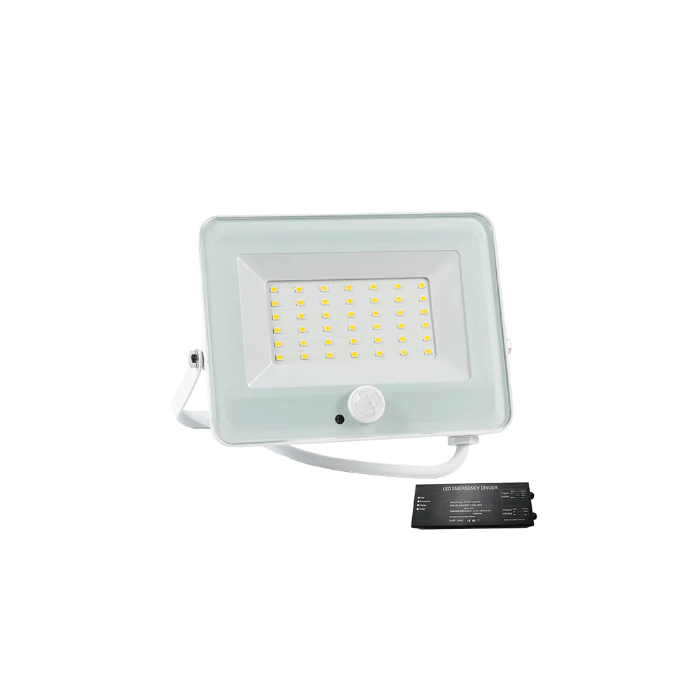 VEGA 30W LED ПРОЖЕКТОР СЪС СЕНЗОР 3000К БЯЛ+AB